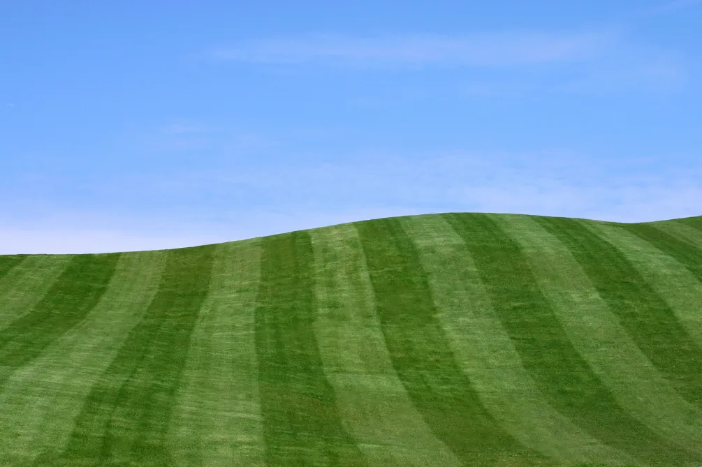 Which of the following categories contributes the largest part to health care’s carbon emissions or carbon footprint?