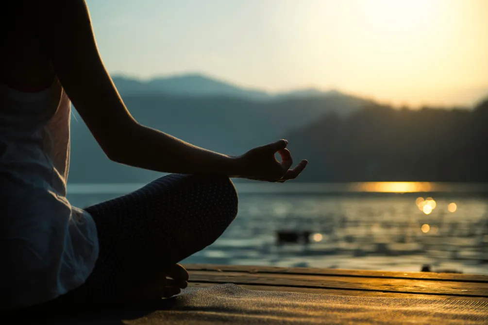 Supplements to Reduce Cortisol: Adrenal Adaptogens vs. Adrenal Extracts