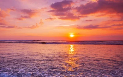 Morning Sunlight Strengthens Your Immune System by Optimizing Mitochondrial Function