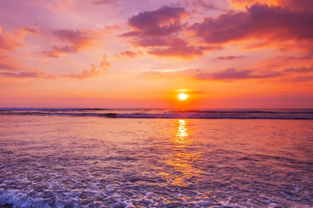 Morning Sunlight Strengthens Your Immune System by Optimizing Mitochondrial Function
