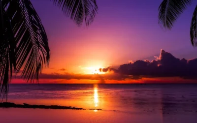 From Insomnia to Immunity: How Artificial Light at Night (ALAN) Increases Autoimmune Risk