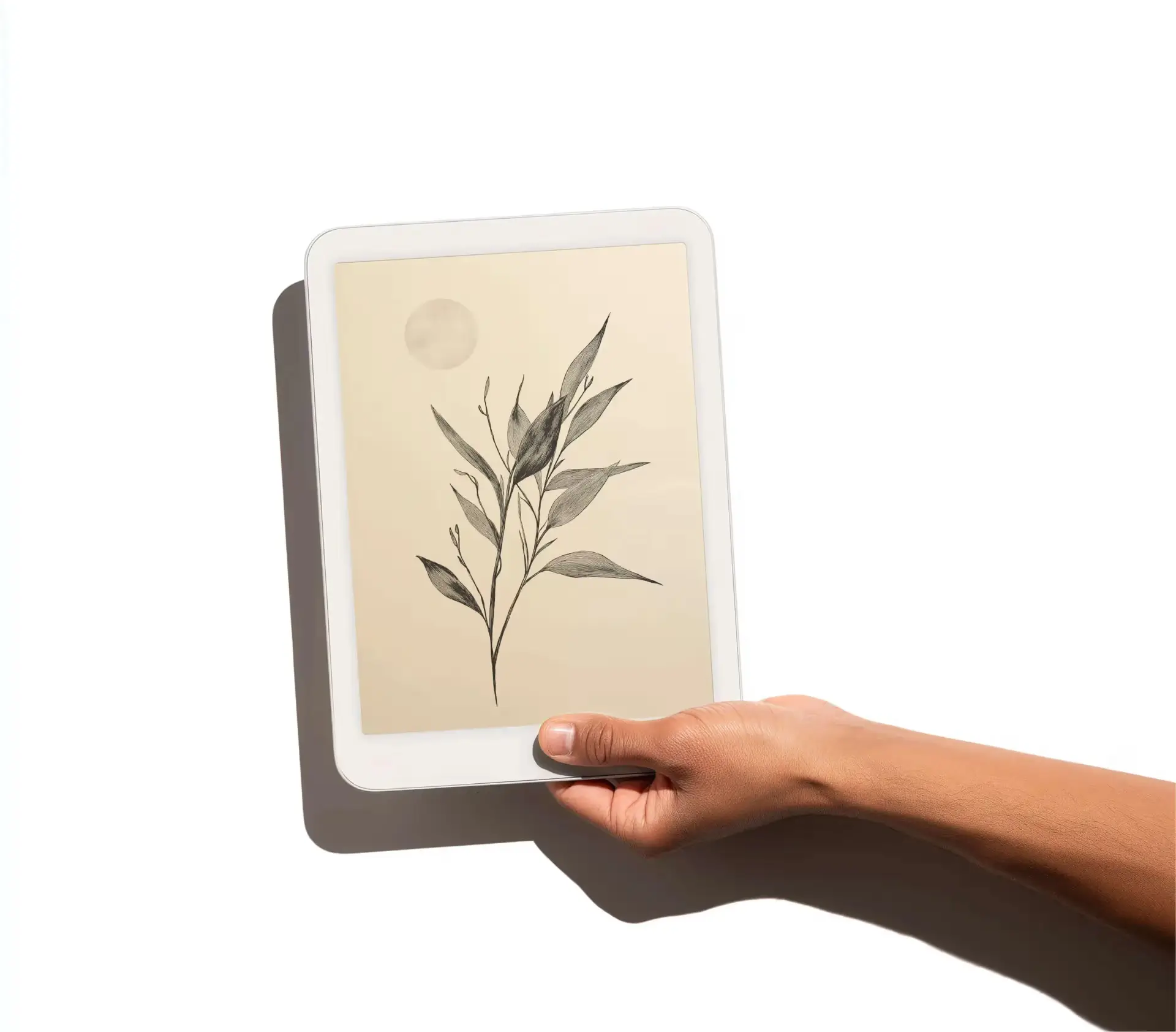 Daylight Computer Daylight Computer